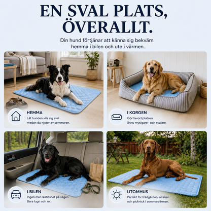 Kylmatta för husdjur