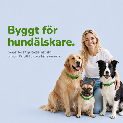 FästingSkydd