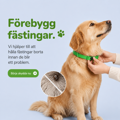 FästingSkydd