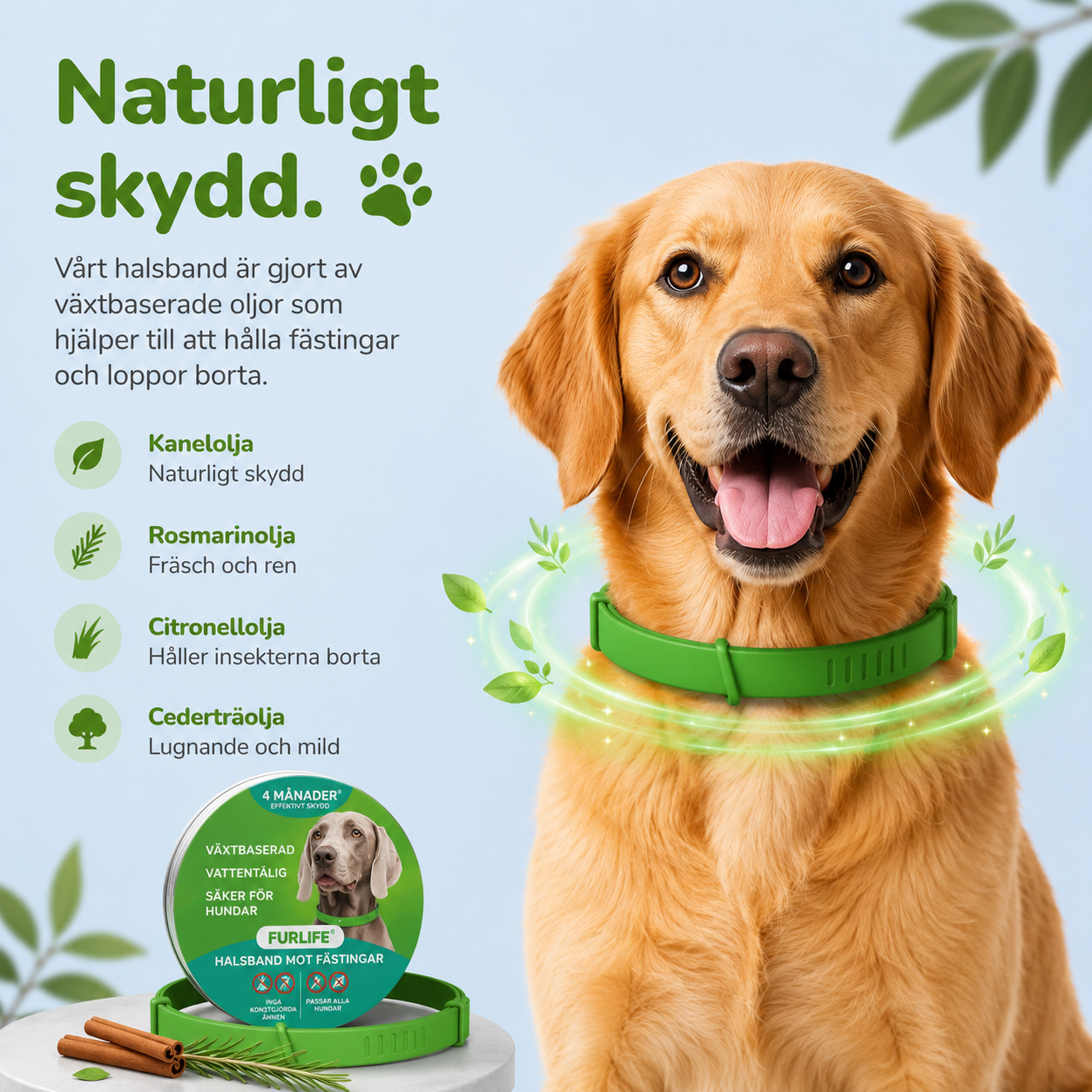 FästingSkydd