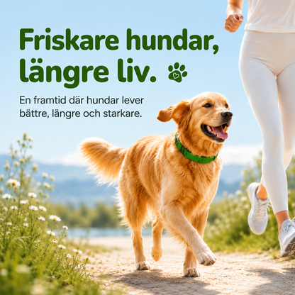 FästingSkydd