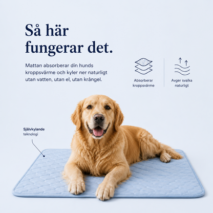 Kylmatta för husdjur