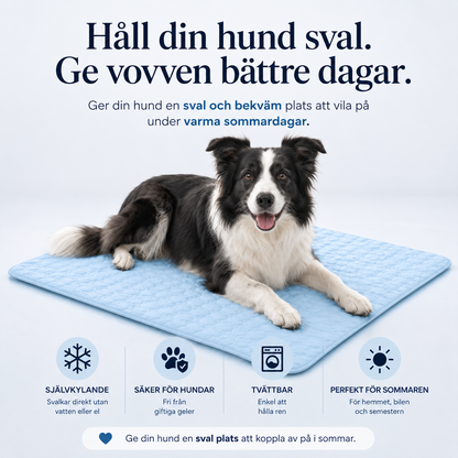 Kylmatta för husdjur